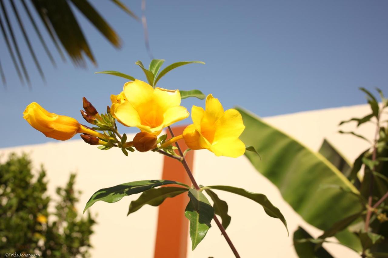 Dabo House Otel Brufut Dış mekan fotoğraf